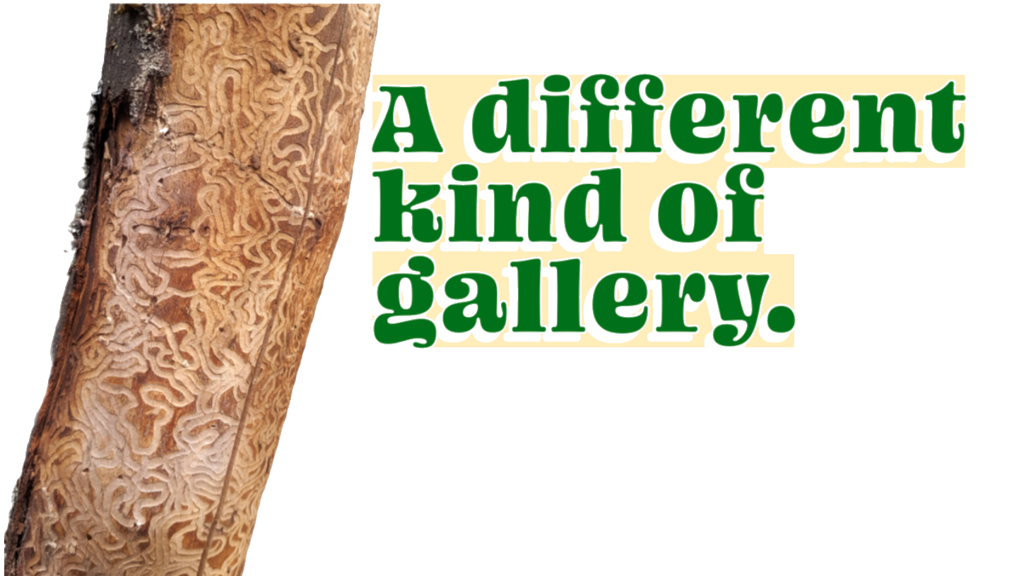 A-different-art-gallery